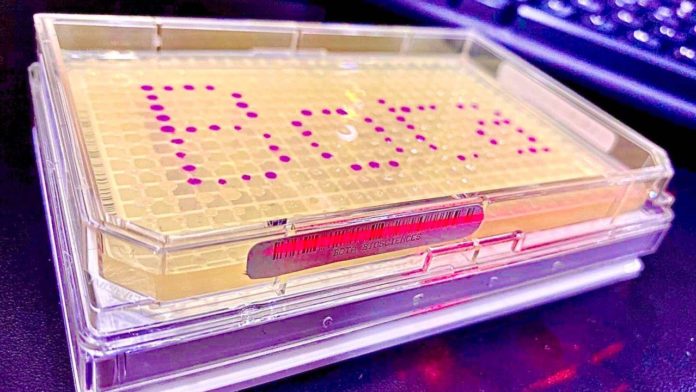 巴斯夫风投投资中国恩和生物