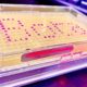 巴斯夫风投投资中国恩和生物