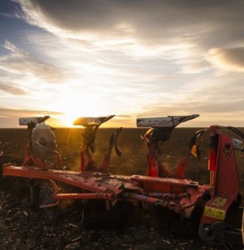 先正达公司(Syngenta)又回到了中国证券交易所? Syngenta