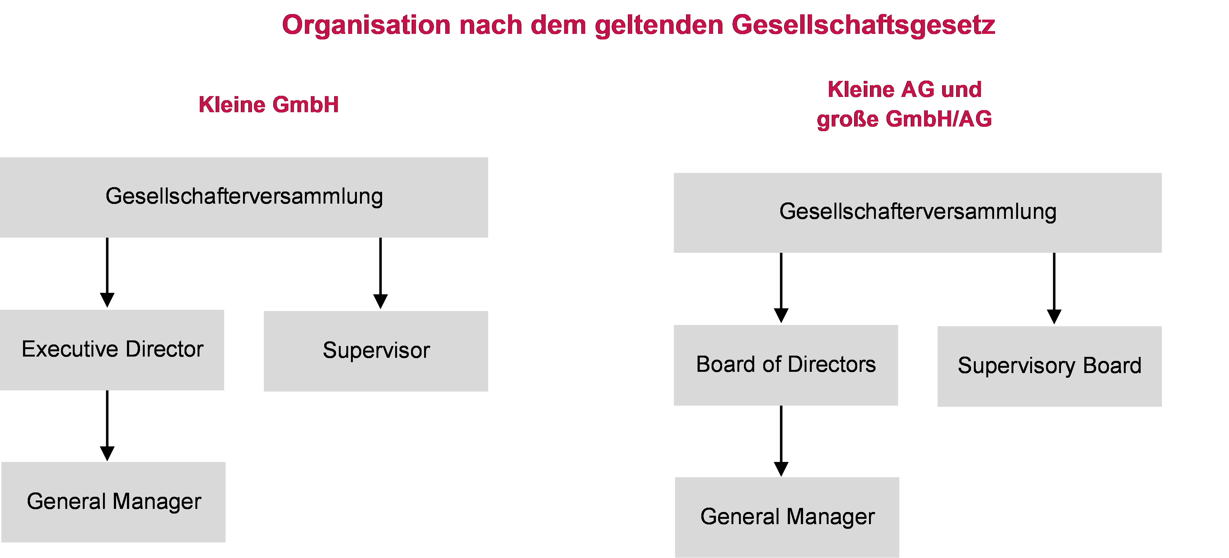 Bild1-Luther_Organisation-nach-dem-geltenden-Gesellschaftsgesetz